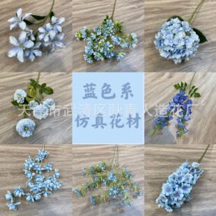 �{ɫϵ���滨��c��Y�û��ĵ��·�������b��ٻ��S�����l