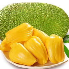 ˮ���S�Ⲥ�}����ζ�S�Ĳ��}�۰��摪��ˮ���Ꭷ���r�����M��