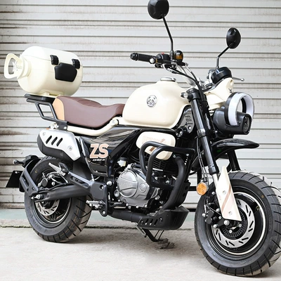 shelf rear backrest gas tank Motorcycle tail