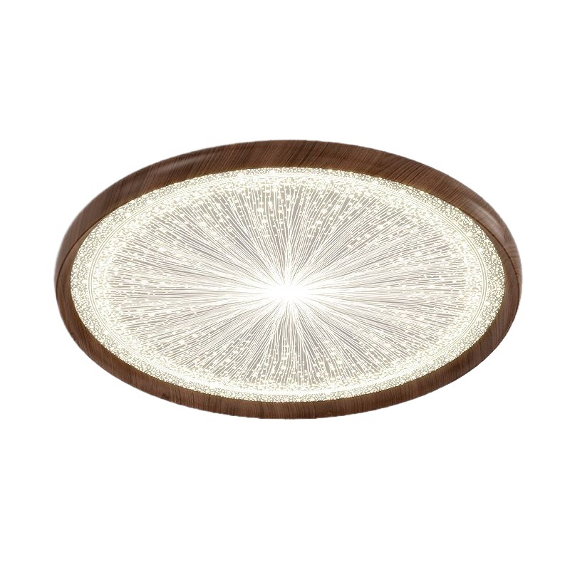 Lámpara de techo LED de espectro completo, protección ocular, sala de estar, dormitorio, comedor, casa antigua, sala de viento silencioso, iluminación Zhongshan moderna