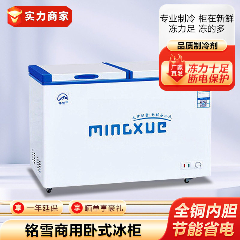 铭雪冰柜商用卧式冰箱发泡门雪糕大容量冷饮柜酒店冷冻雪柜低温柜