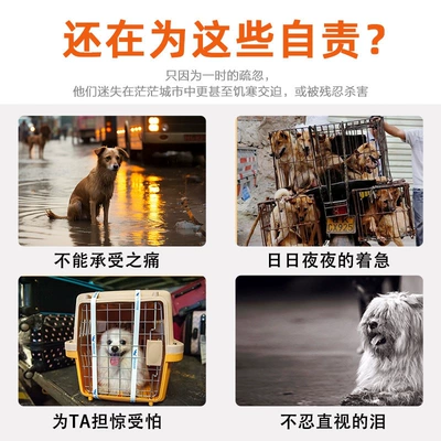 GPS Locator — locator anti-lost device for cats