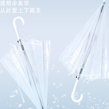 可爱小清新透明雨伞雨天街拍氛围感神器长柄伞ins高颜值网红拍照