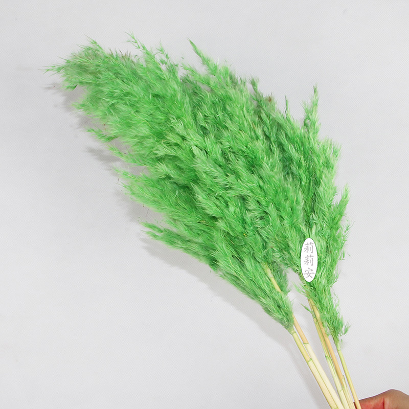 라이트 그린(5개/묶음)