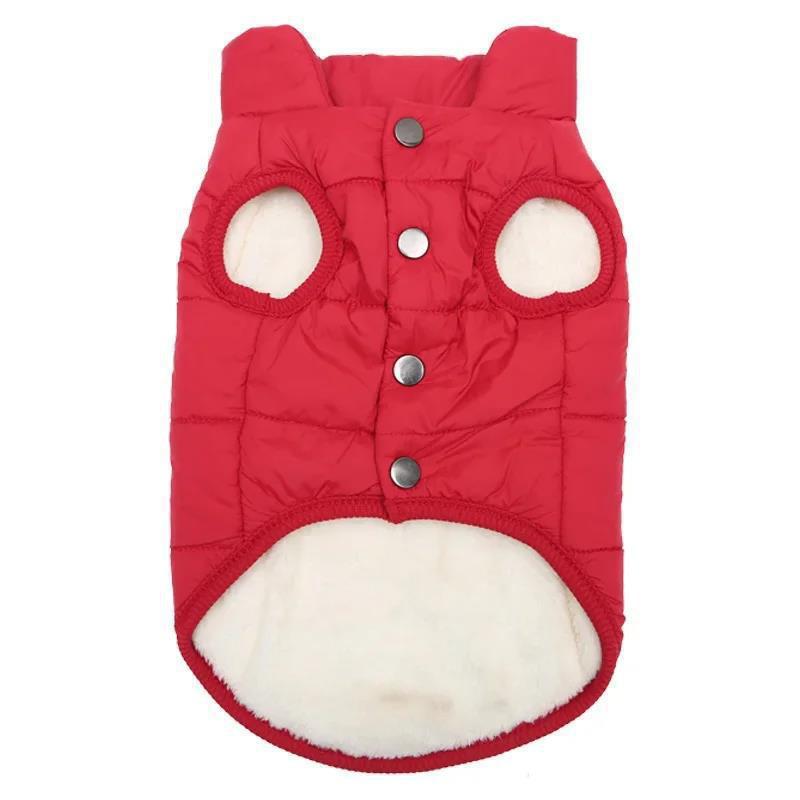 Ropa para Gatos, Ropa Abrigadora de Otoño e Invierno para Gatos y Perros Sphynx