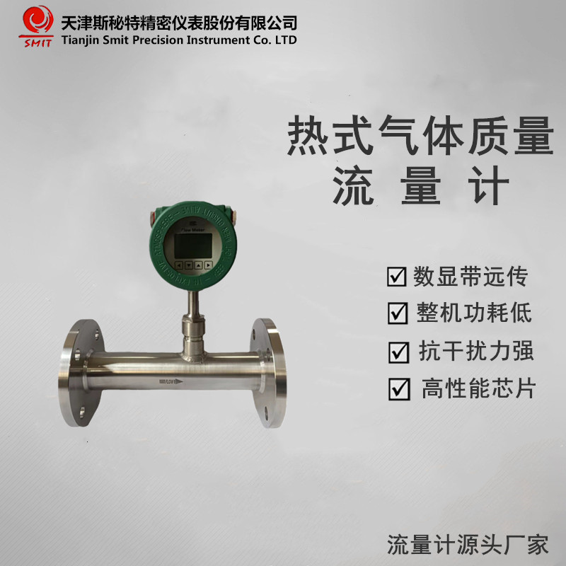 SFM800热式气体质量流量计 空气流量计小流量气体流量计 斯秘特