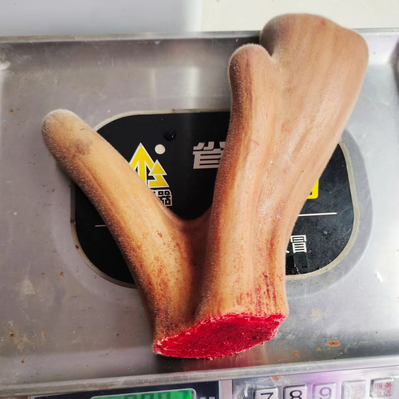 7f518d0de80f8ba0b552043661aaac