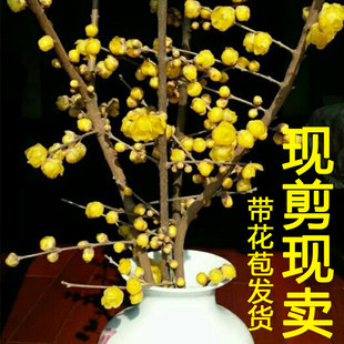 �D÷֦�D÷���������D÷�r����������֦�D÷֦�l��ˮ�_�r�л����l