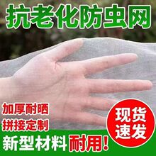 �߾W�W��80Ŀ�Ӻ��b���b�������r�~�W���S�X���r��������W������