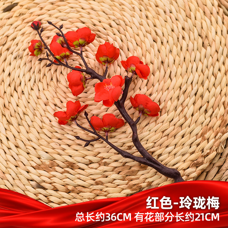 붉은 절묘한 매화