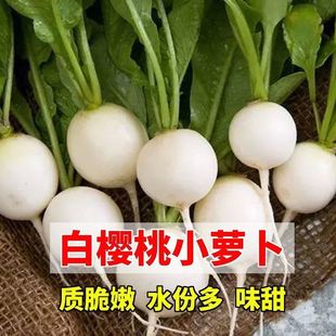 יС}NӴˮ}NѴ＾ļ̨