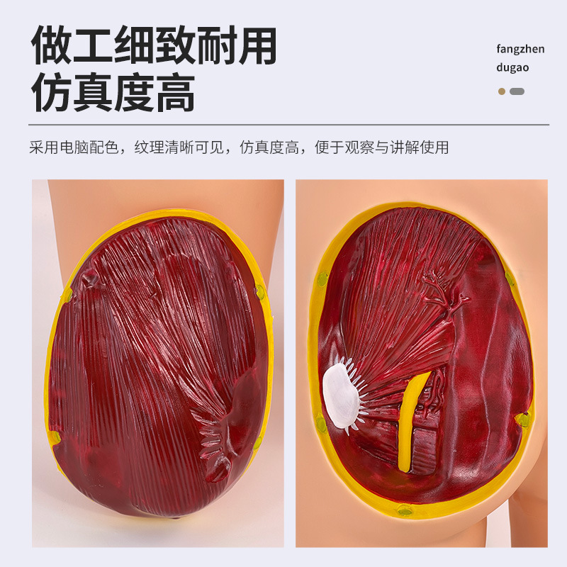 �߼��β�����ע��ģ������ʽṹģ�� �β�ע����ϰģ�� ҽѧѵ��