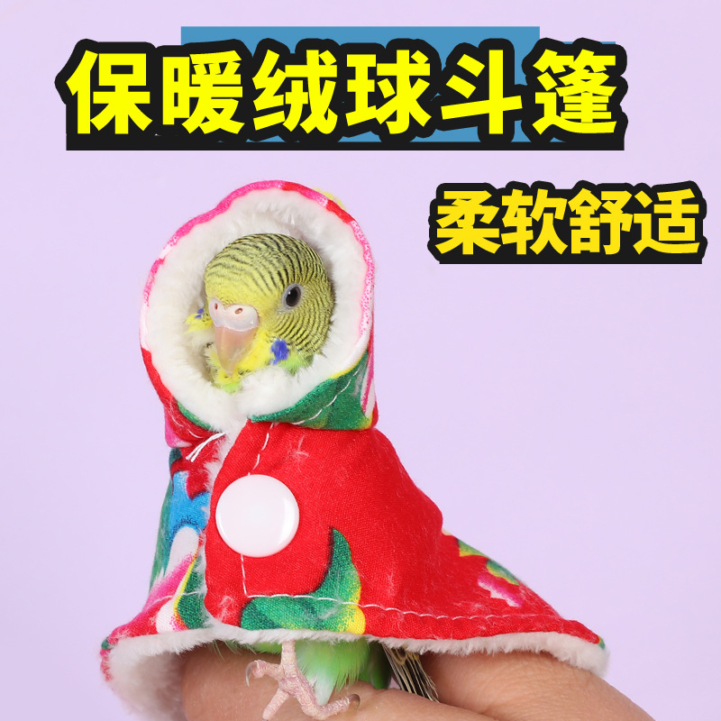 앵무새 옷 망토 호랑이 피부 모란 Xuanfeng 작은 태양 스님 특별한 겨울 따뜻한 새 장난감 용품