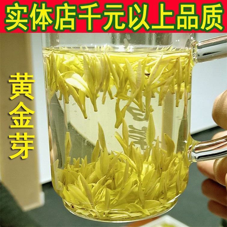 正宗浙江黄金芽明前新茶春芽口感鲜爽散茶批发