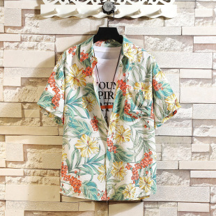 �ļ����r��ɳ��͸�⌒�ɸ��L���껨ɫ�r��TZ001-1-P25