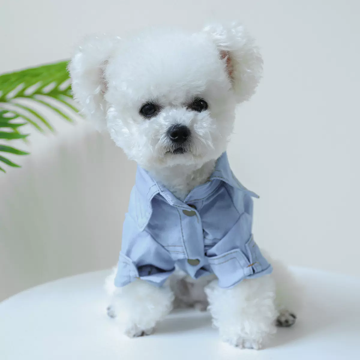 PETCIRCLE宠物圈狗狗猫猫衣服厂家批发可爱简约带D环帅气牛仔衬衫