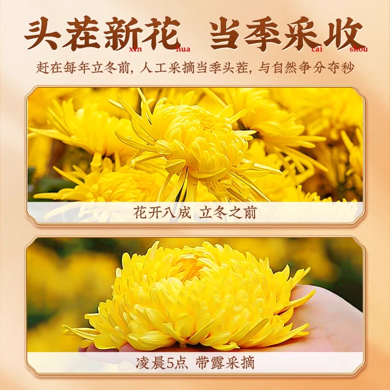 금사황국 국화차 큰 꽃송이 건조 꽃차 용기 포장