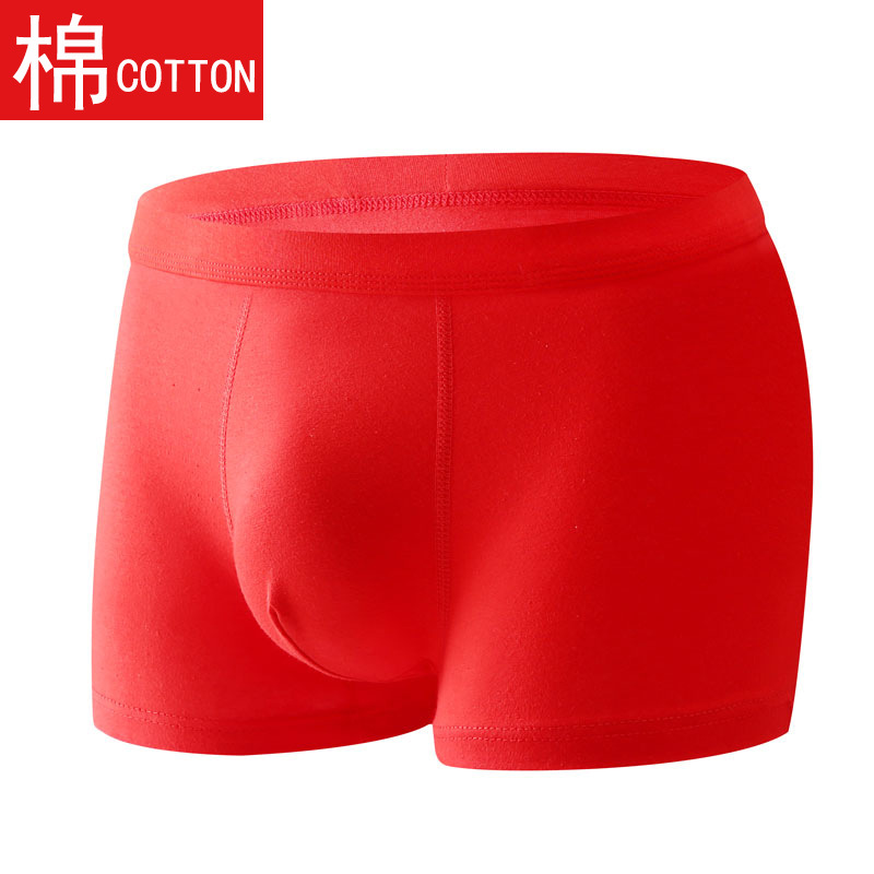 솔리드 레드 코튼