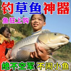草魚のエサ【魚に行かずにあなたを送ります】草魚のエサ