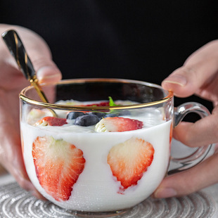 Wholesale Internet Celebrity Household Milk Cup Nordic Gold Glass Bowl Multifunctional Breakfast Cup with Glass Cup Coffee Cup