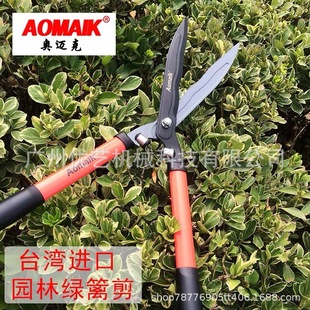 ̨���@�־G�h�� �@�ִ���� SK5� �޼����߻h�ʼ� ���y����