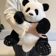������؈�������пɐ�ë�q������m��������ɫ��؈������ż���l