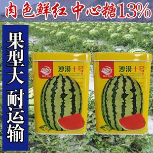 �����̖���ϷN�� �ش���5̖���C��ɰ����ɳĮ���ϷN�Ӽtȿ����