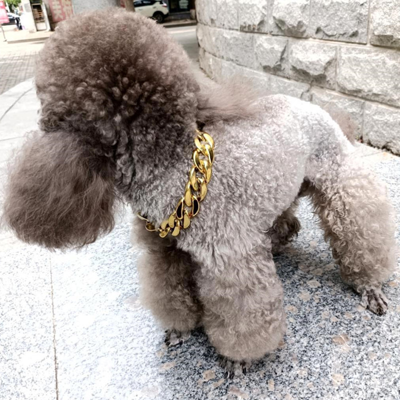 dbd7077d-f685-4765-ae67-f1b9b4