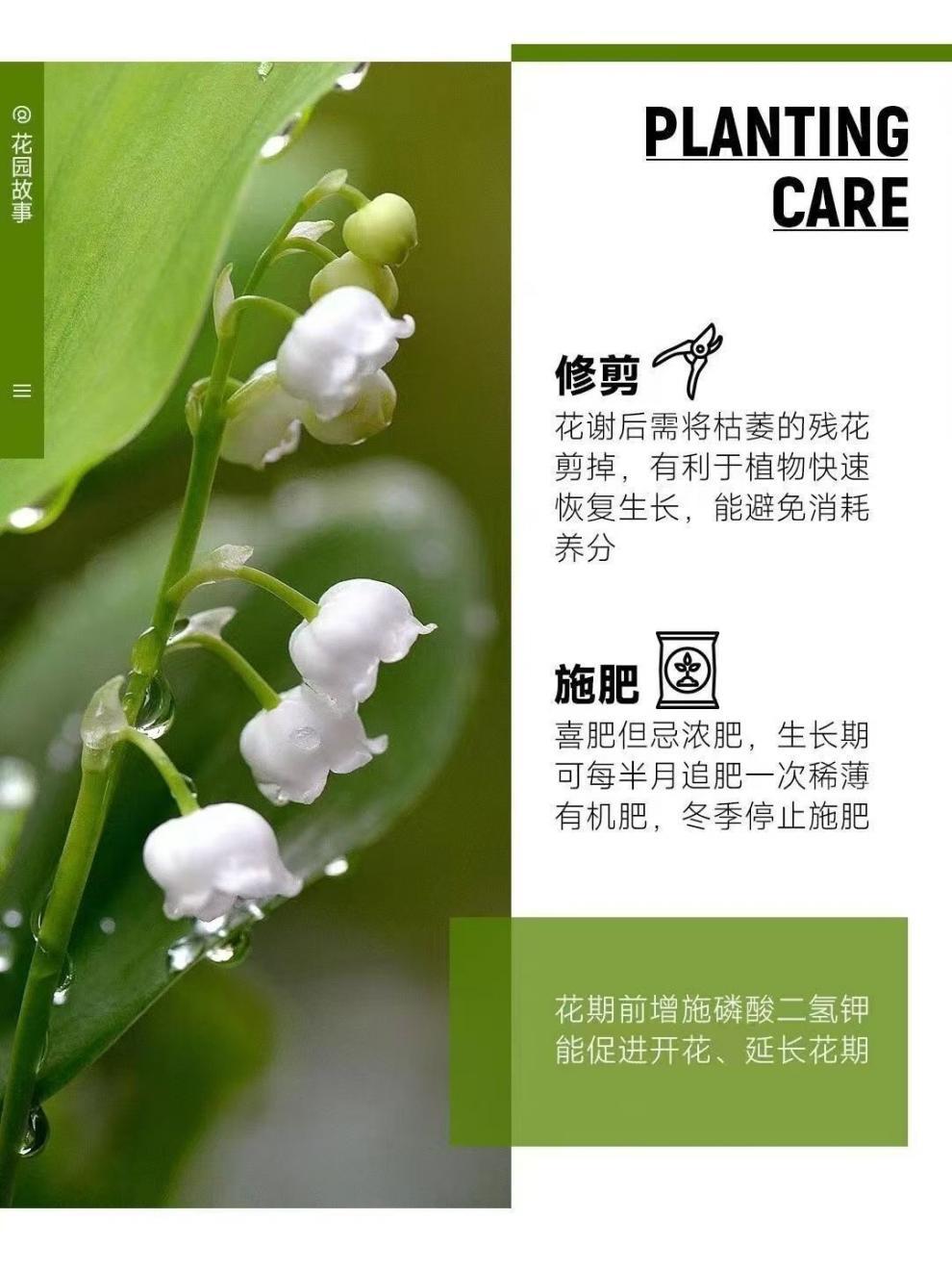 0f7ee847-3a66-4697-99a0-14b85e9b65c6.jpe