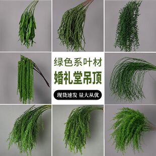 ɭϵ��Y��픷���Gֲ�Ƶ��컨�崹����ˇ�廨�پGֲ��ˇ�������l