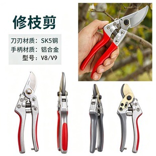 �@����֦�� V8V9 ������֦����� �����辰�@ˇ��ˇֲ�����