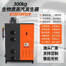 维森定制生物质蒸汽发生器300kg食品服装厂采暖除尘消毒立式锅炉