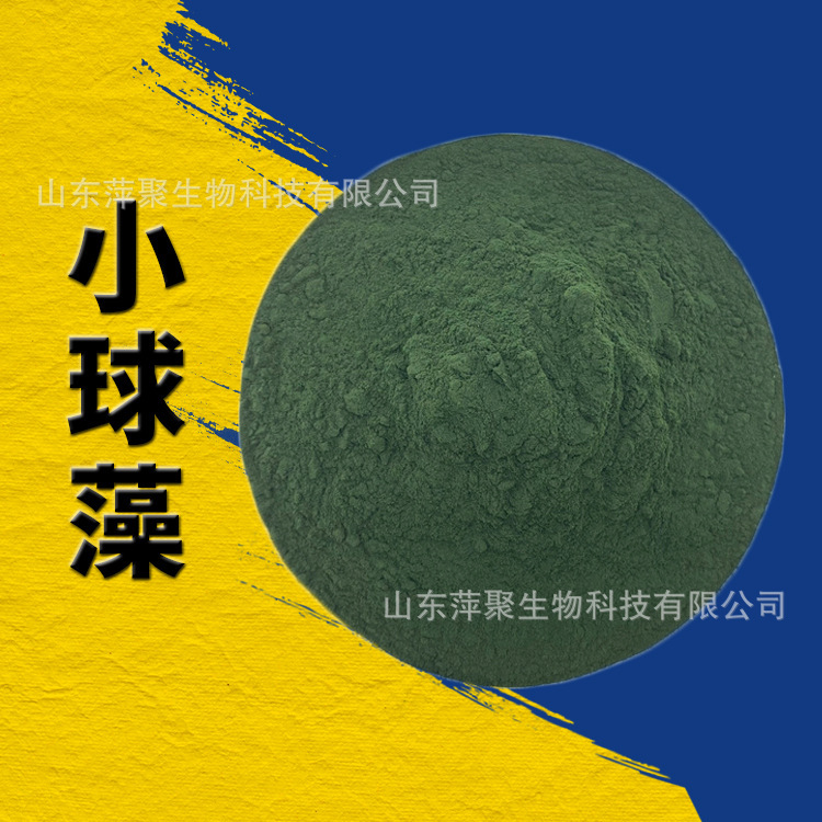 Chlorella Powder Protein Core Chlorella Powder Food Health Products Colorant Nutritional Supplement