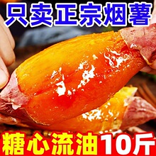 正宗山东烟薯25号现挖糖心真蜜薯烤薯红薯地瓜番薯批发板栗沙地jy