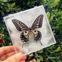 ������˱��������x�˱���չ����b���նY���ֹ�diy���Ͽ�ȡ��