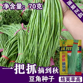 蔬菜种子;其他农业