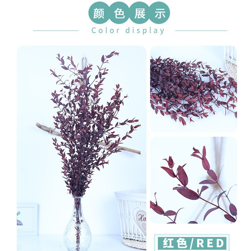 붉은잎 1다발 - 드라이플라워백