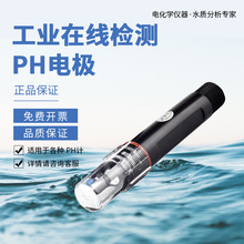 工业线上ph电极污水测试酸碱度计PH感测器酸度计水质电极监视器