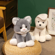 ������￨ͨ���жY��߼���С������ë�q��߿ɐ�С��؈����ż