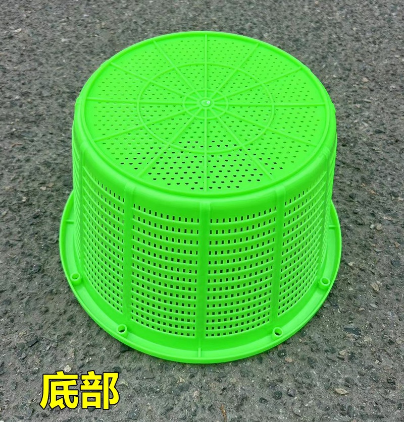 绿色.jpg