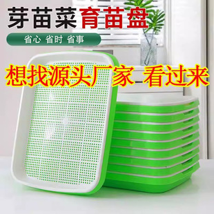 �๦������Pһ������ѿ��ˮ���߲˶�ѿ�lѿ�����㶹��Nֲѿ��P