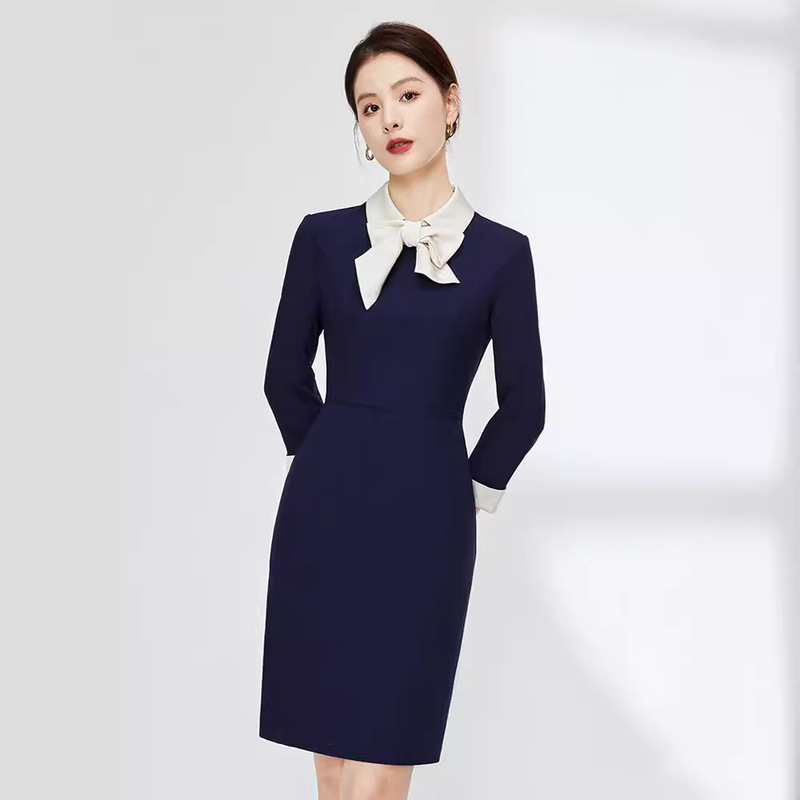 Spring professional dress female teacher interview frock fashion beautician sales department reception work clothes OL