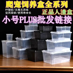 Reptile Box Feeding Box Feeding Box Shougong Eyelia Horned Frog Insect Turtle Player Snake Anti-Escape Feeding Box