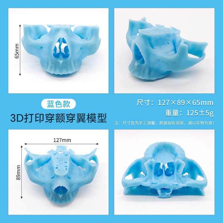 Modelo de ejercicios de punción de pico dental Modelo de ejercicios de implante de resina Modelo de impresión de resina 3D Color especificado