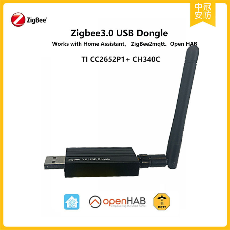 Zbdongle-P Zigbee Gateway, Compatible with Home Assistant, Zigbee2Mqtt, Openhab