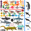 Realistic marine toy, shark from soft rubber for boys, dolphin