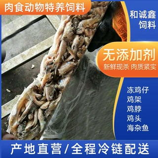 厂家长期供应冷冻脱毛小鸡海杂鱼狐狸貂 蛇 鳄鱼肉食动物特养饲料
