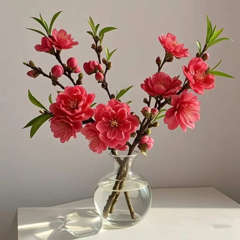 带花鲜枝水培红梅花桃花树干枝水养花室内花卉雪柳盆栽切养绿植物-阿里巴巴