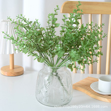 �����ȼ�������ֲ������b� С5����X�ݰ�������Gֲ�S�����l