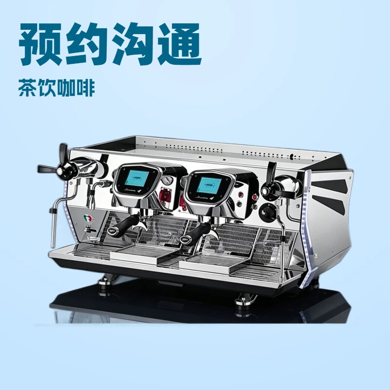 Pandorra Pandora Flyer Dual-Head Coffee Machine Imported from Italy Commercial Italian Semi-Automatic Tea Extraction Machine